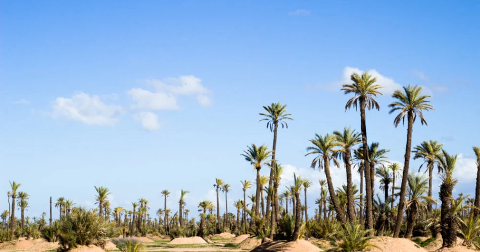 20 Best Attractions in Marrakech, Morocco